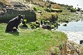 15 04 15_2966_edited-1
